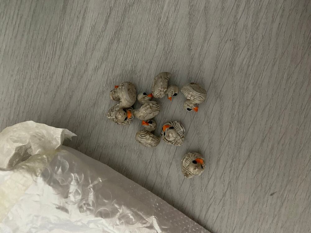 10 piece mini Halloween mummy duck figures